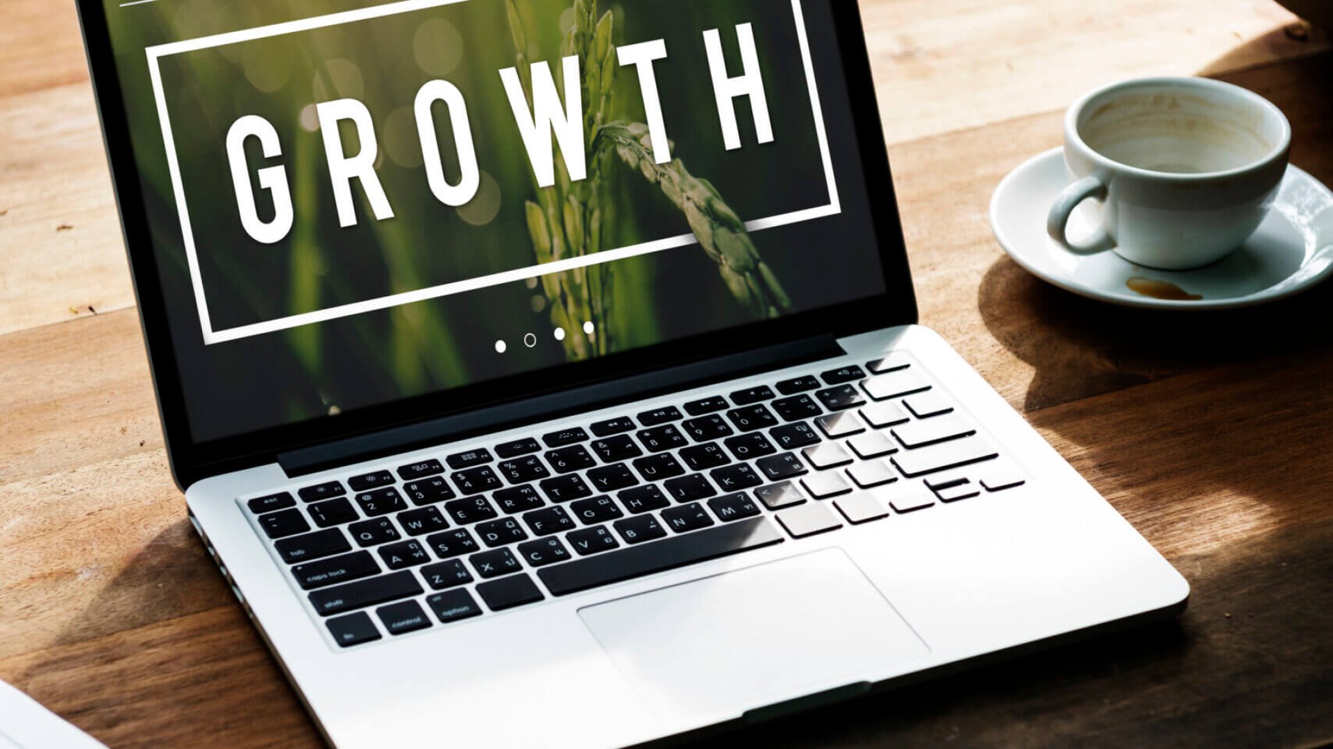 Growth Development Grow Improvement Success